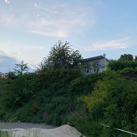 Weinbergshaus Mit Blick Auf'S Wasser Salzatal Exterior photo