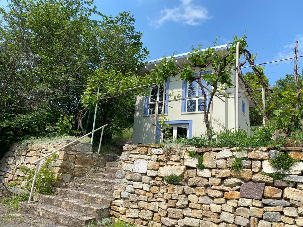 Weinbergshaus Mit Blick Auf'S Wasser Salzatal Exterior photo